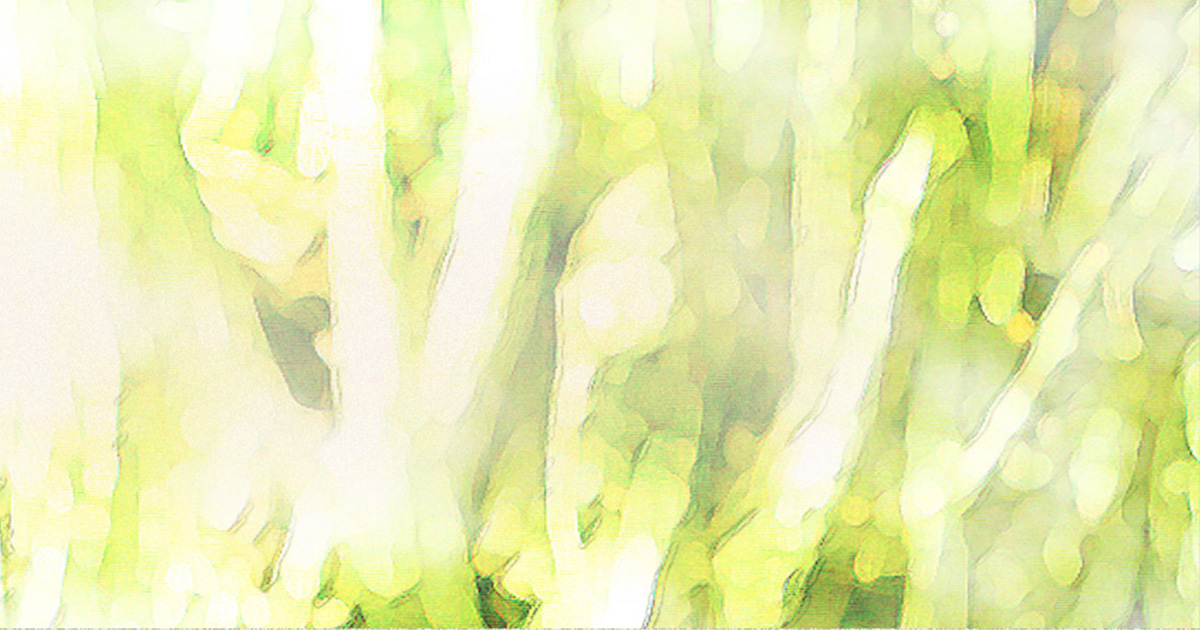 Groundbreaking 2010 - BOF2010 COMPILATION ALBUM